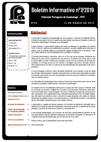 Boletim nº 7