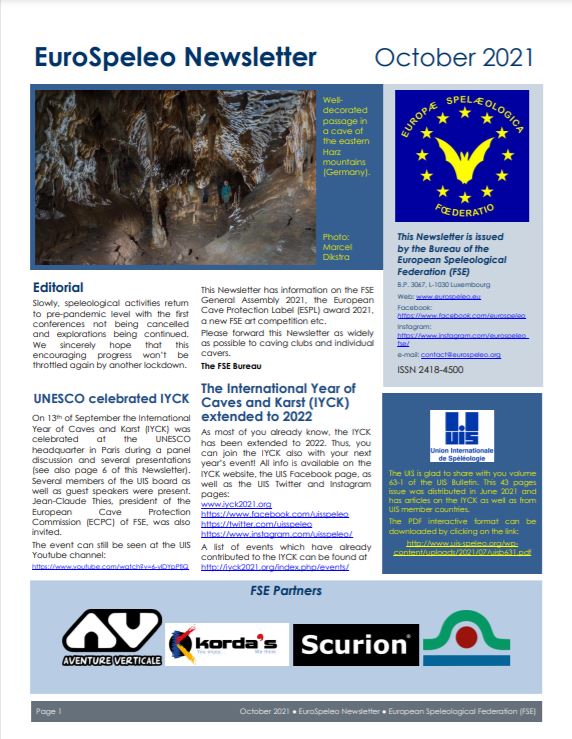 Newsletter FSE - Outubro 2021