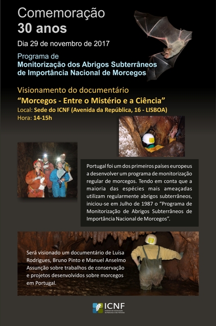convite 30 morcegos